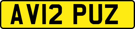 AV12PUZ