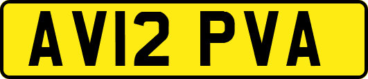 AV12PVA