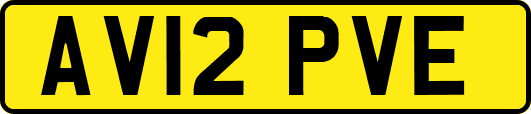 AV12PVE
