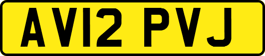 AV12PVJ