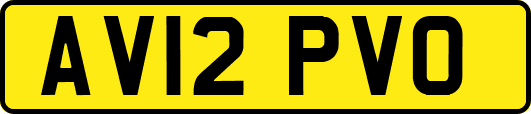 AV12PVO
