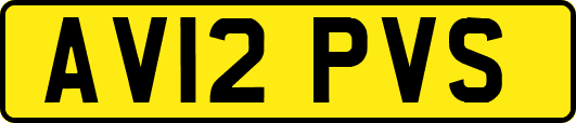 AV12PVS