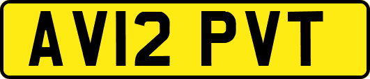 AV12PVT