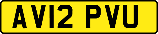 AV12PVU