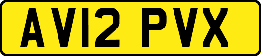 AV12PVX