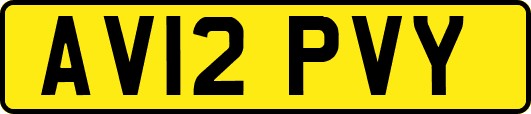 AV12PVY