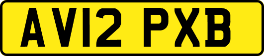AV12PXB