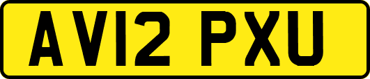 AV12PXU