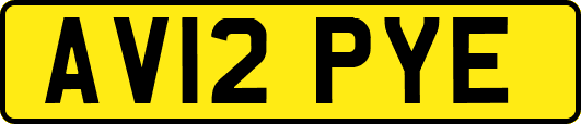 AV12PYE