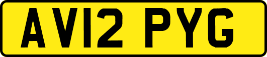 AV12PYG