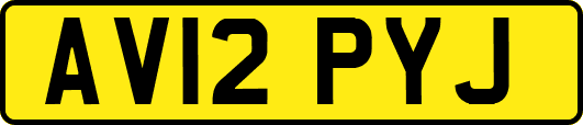 AV12PYJ