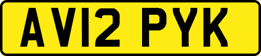 AV12PYK