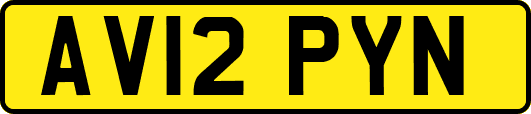 AV12PYN