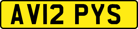 AV12PYS
