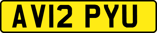 AV12PYU