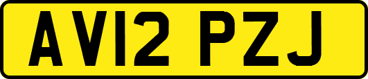 AV12PZJ