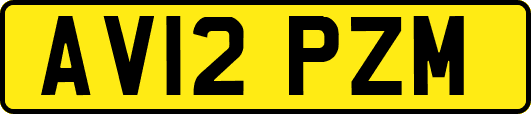 AV12PZM
