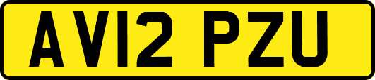 AV12PZU