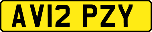 AV12PZY