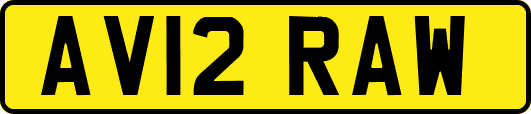 AV12RAW