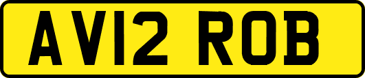 AV12ROB