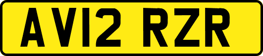 AV12RZR