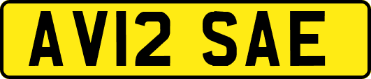 AV12SAE