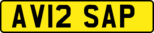 AV12SAP