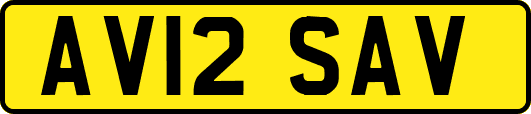 AV12SAV