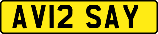 AV12SAY