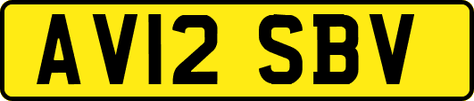 AV12SBV