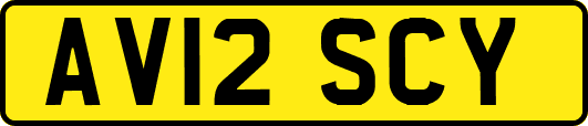AV12SCY