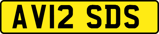 AV12SDS