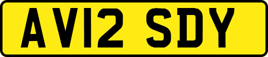 AV12SDY