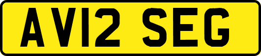 AV12SEG