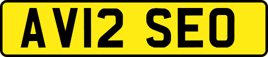 AV12SEO