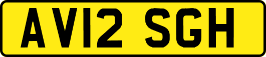 AV12SGH