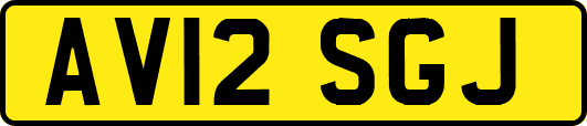 AV12SGJ