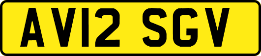 AV12SGV