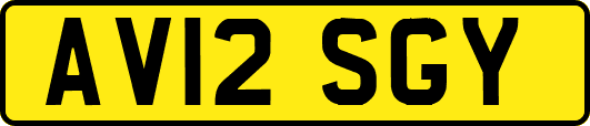 AV12SGY