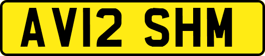 AV12SHM