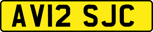 AV12SJC