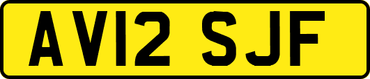 AV12SJF