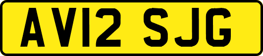 AV12SJG