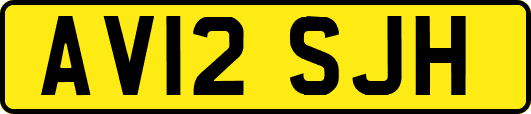 AV12SJH