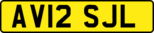 AV12SJL
