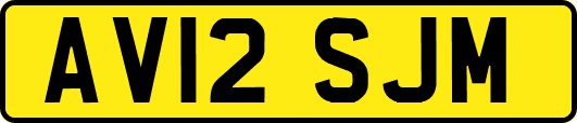 AV12SJM
