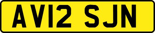 AV12SJN
