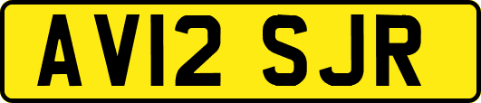 AV12SJR