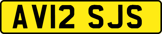 AV12SJS